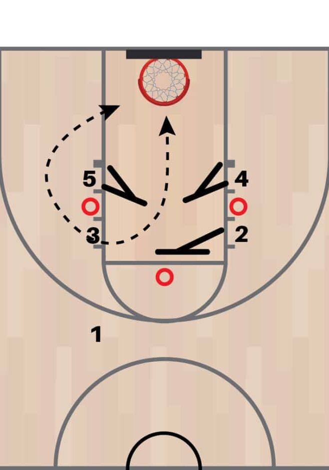 free-rebound-p21 free-rebound-p21